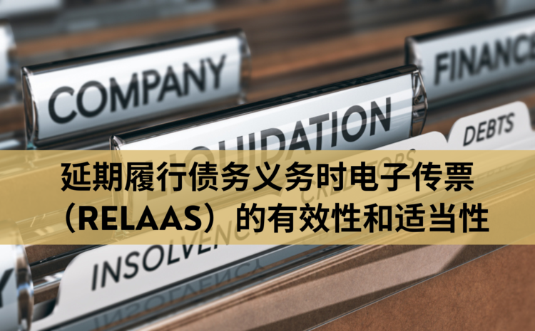  延期履行债务义务时电子传票（RELAS）的有效性和适当性
